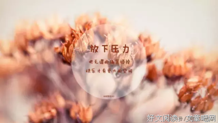 奋斗~成功优美的句子