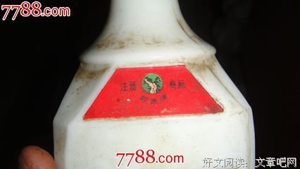 白衣古阑句子
