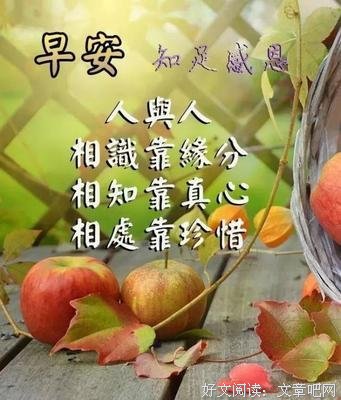 得得的的句子