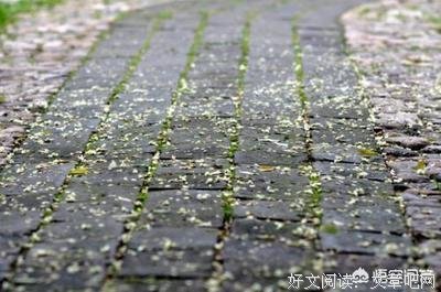 最新的懂懂名言大全