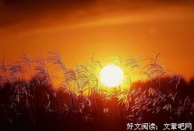 戈麦名言大全