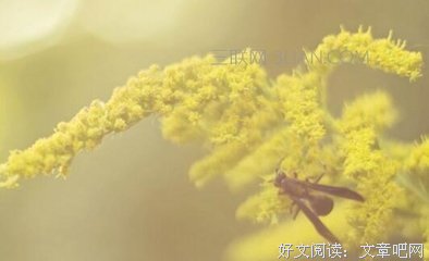 2019无颜经典句子