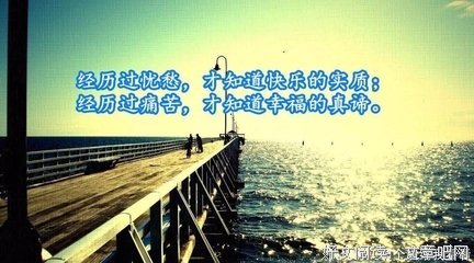 最新的《我的故她自》经典语句大全