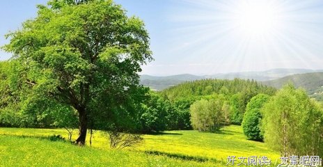 孤独与酒的优美句子