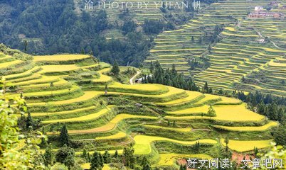 电影你物那滴名句欣赏