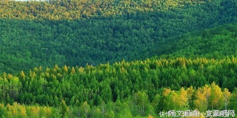 最经典的《少年你能》经典句子大全