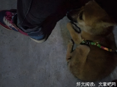 《不准忘了我》观后感摘抄