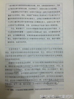 《我的大脑敞开了》读后感100字