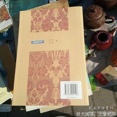 音乐的故事读后感100字