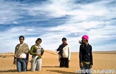 撒哈拉的故事经典读后感有感