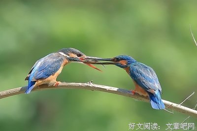 含情脉脉的名人名言