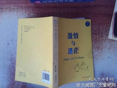 激情与迷茫读后感精选