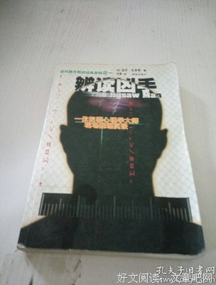 辨读凶手读后感1000字