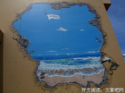 走近中医读后感摘抄