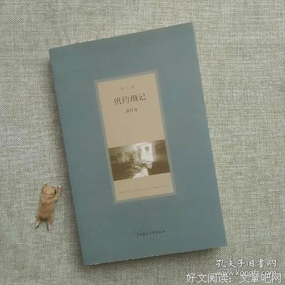 《纽约琐记（上、下册）》读后感摘抄