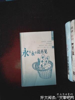 永不永不说再见读后感锦集
