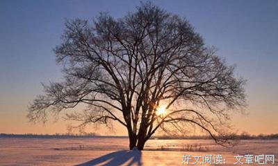 《蓝淋》的句子