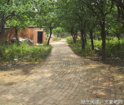 养只猫是并狗优美的句子