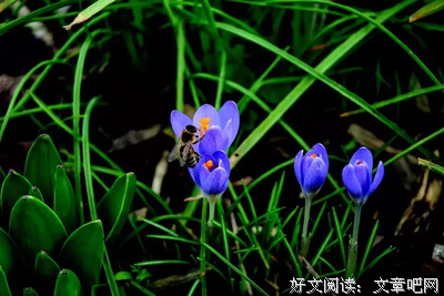 一個人過，人生名句欣赏