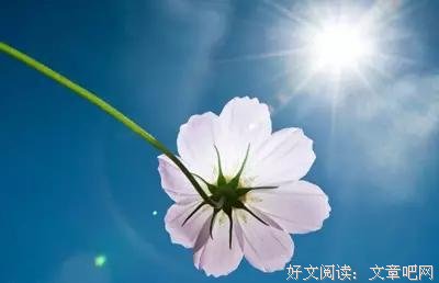 我不愿意向世界交一张人生的白卷