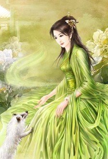 青狐读后感锦集