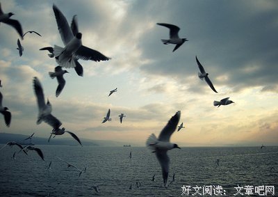 关于知恩图报的唯美语录