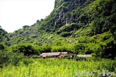关于落英缤纷的语句