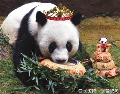《传奇(上下)》的读后感大全