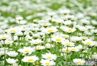 喋喋不休的名言_关于喋喋不休的名言