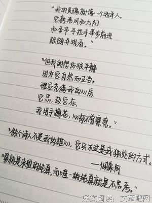做壹年的读后感大全