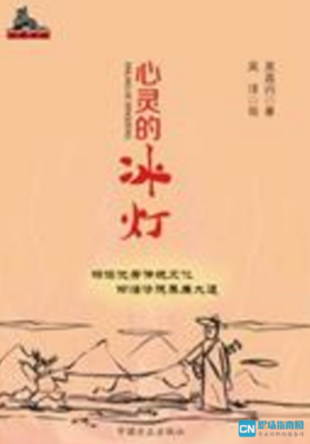 《心灵的探寻》读后感100字