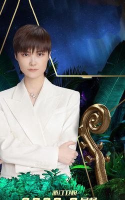 《中国好声音 第一季》观后感精选