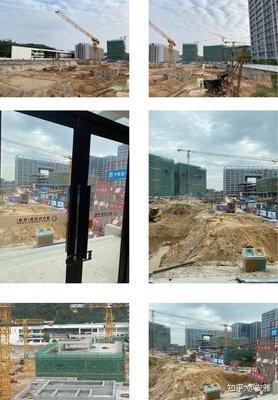 终究悲哀的外国语读后感锦集
