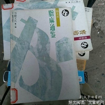 脂麻通鉴读后感1000字