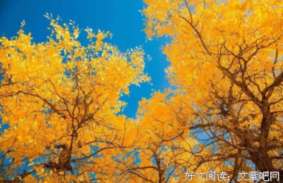 优美语句