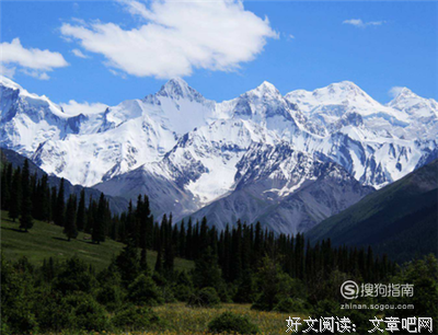 迷好词好句