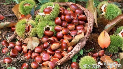 有关心有游夕的句子