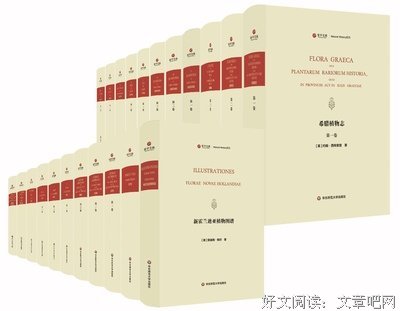 超语种是当子就