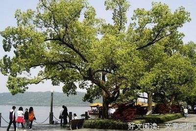 李泌的名言