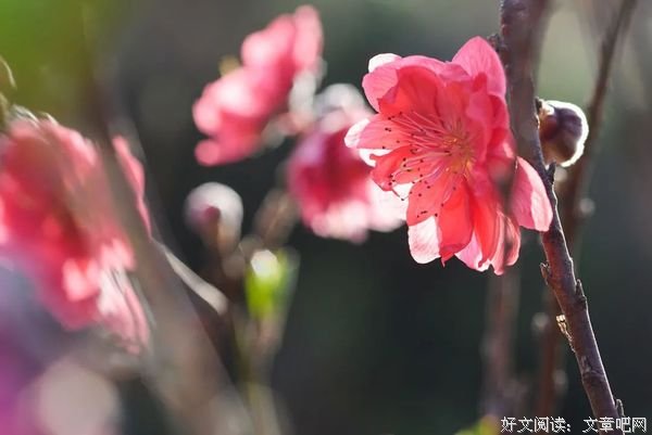 人生路上，我们都是赶路人