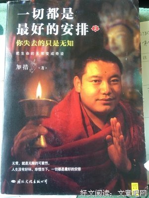 巴伽活佛读后感精选