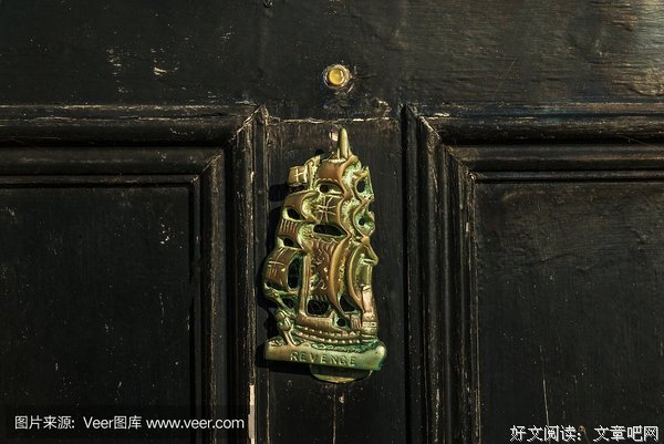 猫眼的读后感大全