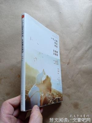 《又寂寞又美好》读后感锦集