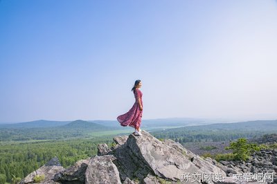 森林里的秘密读后感摘抄
