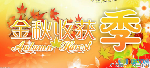 《流逝》读后感1000字