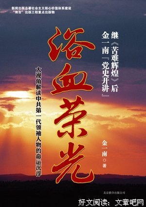 浴血荣光读后感锦集