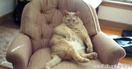 《致亲爱的你》经典影评集