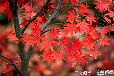 出门在外的名言_关于出门在外的名言