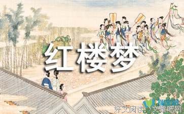 《数字情种》的读后感大全