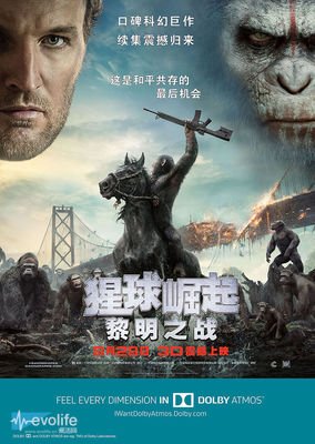《雪崩王子》好看吗？经典观后感锦集